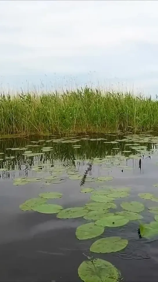 Видео от Просто о рыбалке