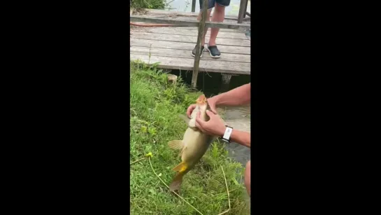 Видео от Просто о рыбалке