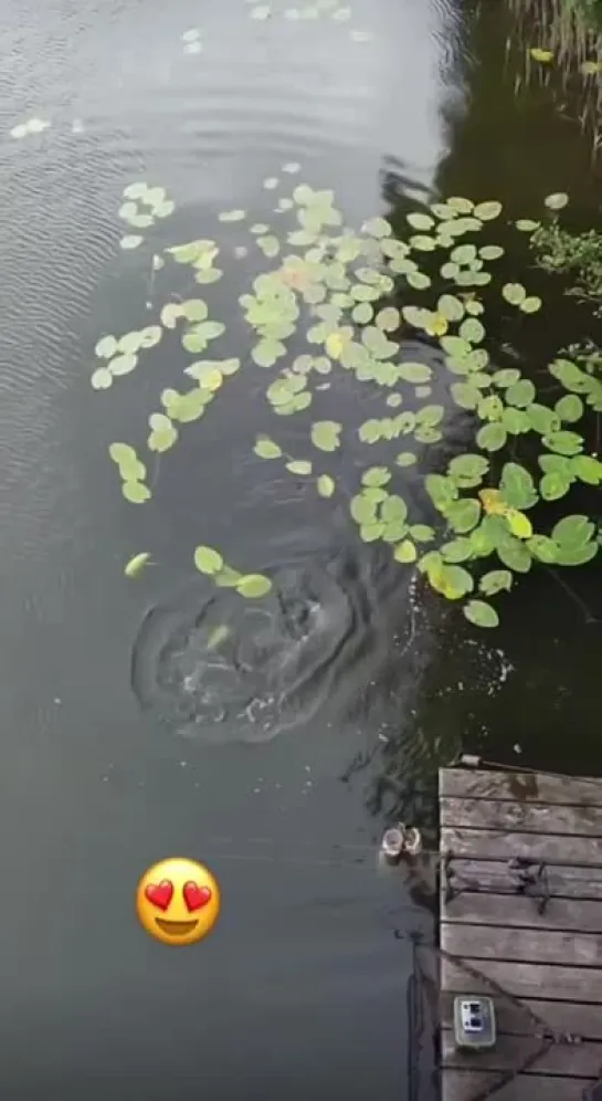 Видео от Просто о рыбалке