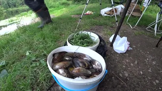 Видео от Просто о рыбалке