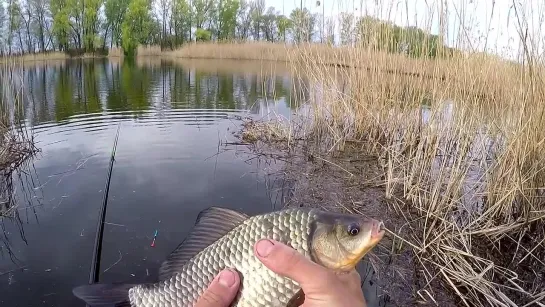 Видео от Просто о рыбалке