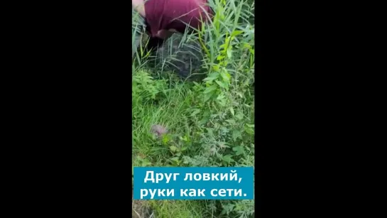 Видео от Просто о рыбалке