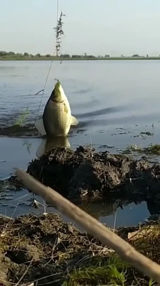 Видео от Просто о рыбалке