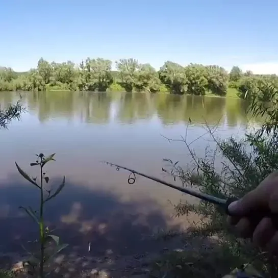 Видео от Просто о рыбалке