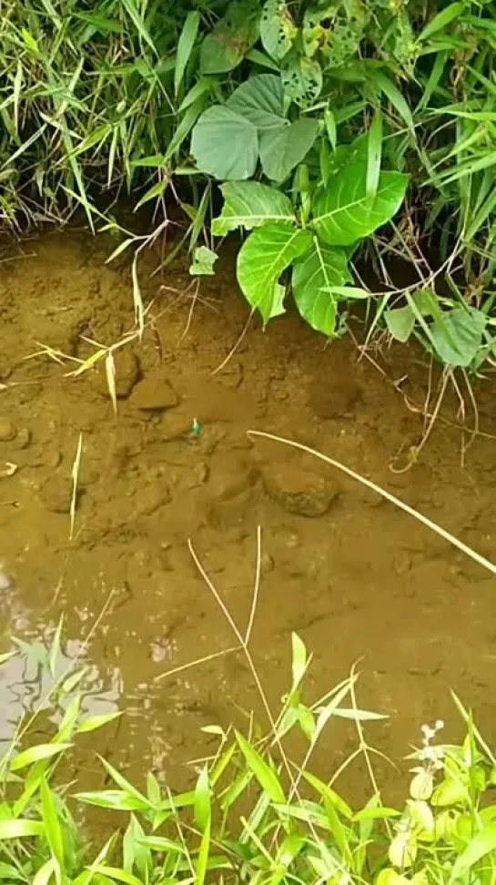 Видео от Просто о рыбалке