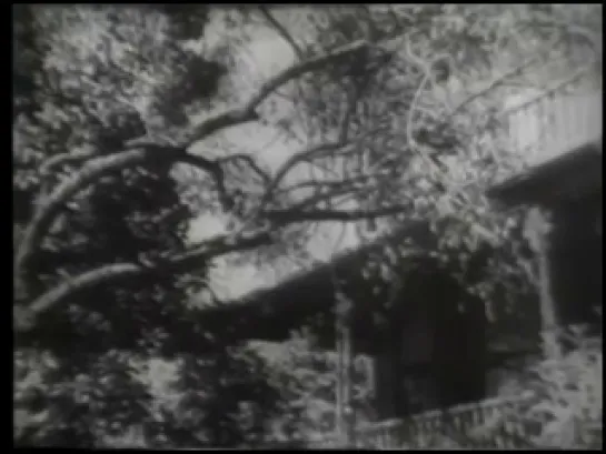 THE_RED_HOUSE_(1947)_Eng_subs