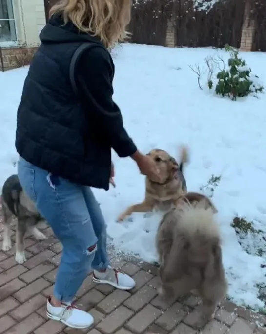 Видео instagram Ольги Орловой