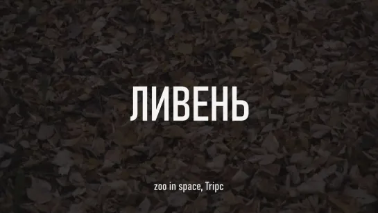 zoo in space, Tripc - Ливень (сниппет, 03 октября)