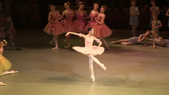 Viktoria Tereshkina - Variation of Dulcinea - Don Quixote