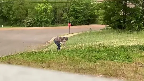 Видео от ШальнОй ТаракАн