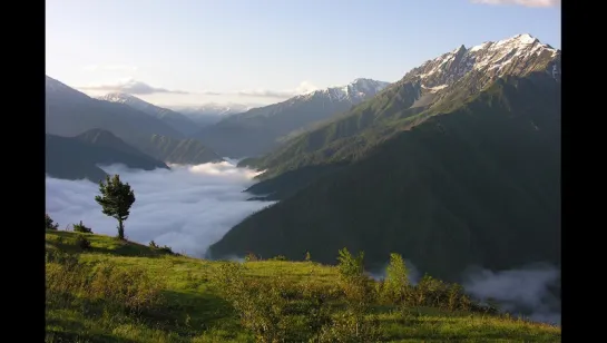 [Native Dagestan] "Тляратинский заказник. Заповедный Дагестан"