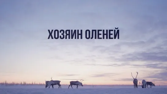 Хозяин оленей (2016)