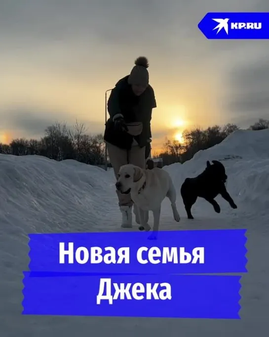 Новая семья Джека