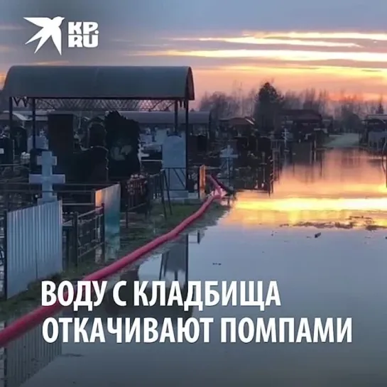 Воду с кладбища откачивают помпами