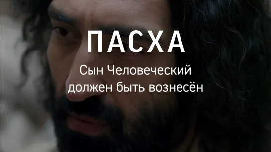 Сын Человеческий должен быть вознесён. Евангелие от Иоанна, глава 12, стихи 20–36