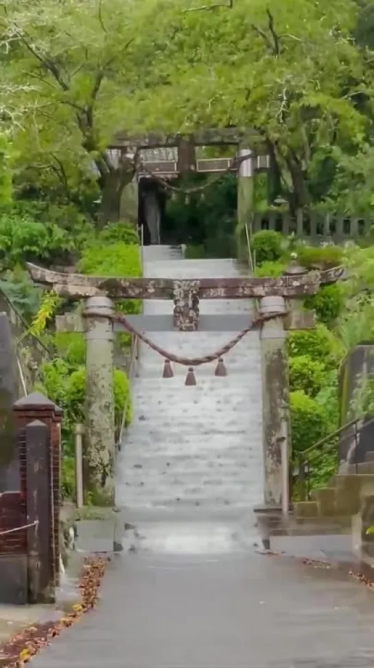 Rains in japan