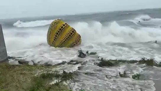 直島のシンボルが..台風9号