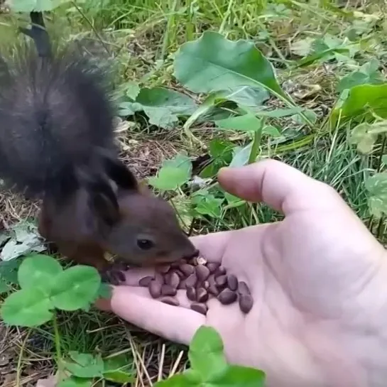 Ребёнок сладкий не понял в чём дело😃