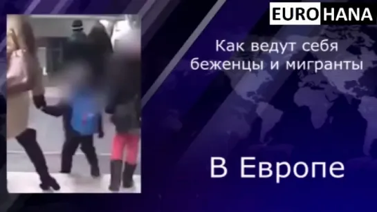 Как ведут себя беженцы и мигранты в Европе !!! ужас !!! это пиндец !!!