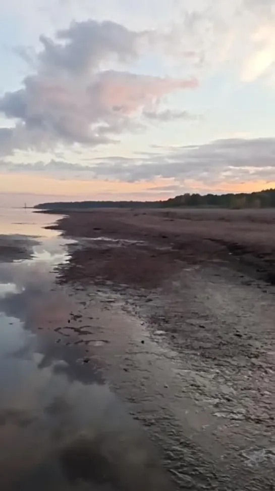 Видео от Владислава Устелёмова