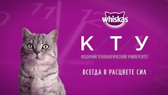 WHISKAS®  К.Т.У. Все части