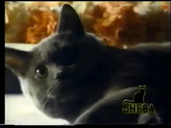 Sheba cat food commercial (1992)