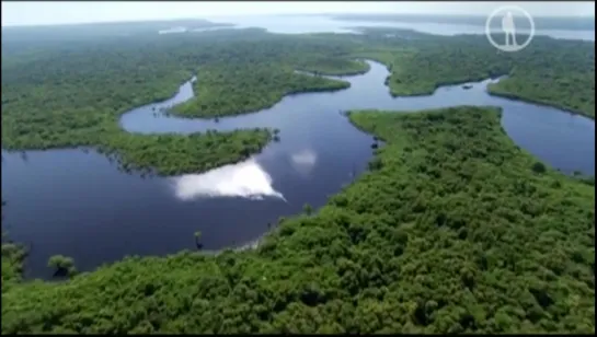 BBC Чудеса природы_ Жизнь на грани (2 серия из 3) Вода _ Earths Natural Wonders