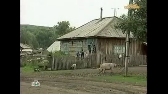 НТВ / "Русские сенсации" / "Город Яд"