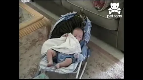 Baby and cat cuddle in crib