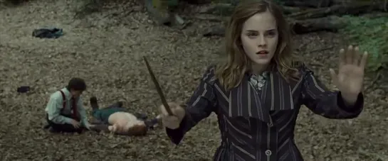 Harry Potter and the Deathly Hallows - TV Spot #5