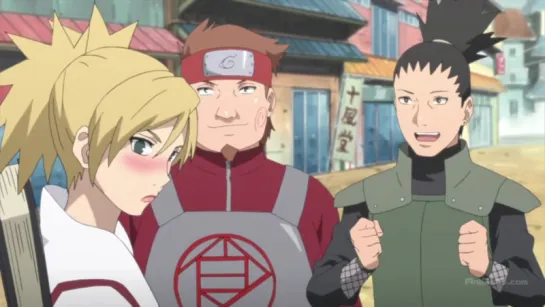 Naruto Shippuuden - 496 серия [Ancord]