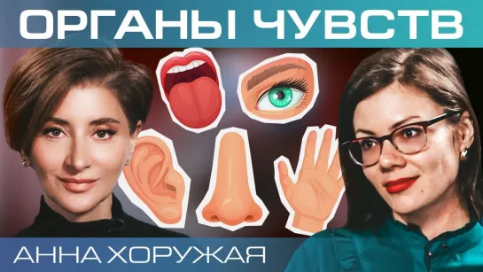 Вкус и запах – двигатели развития цивилизации. Анна Хоружая