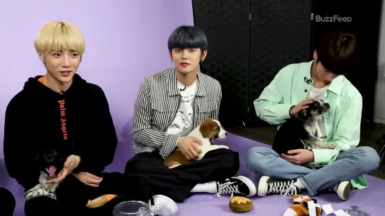 TXT Plays With Puppies While Answering Fan Questions