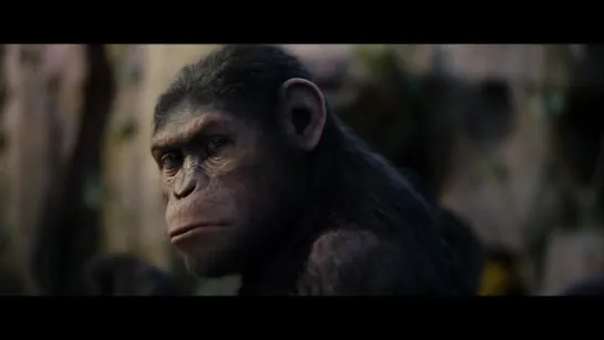 Восстание Планеты Обезьян (Rise Of The Planet Of The Apes) (2011) [Трейлер] [1080]