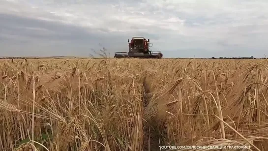 {Редакция} Рассчитывать ли нам на восточного соседа? / Редакция