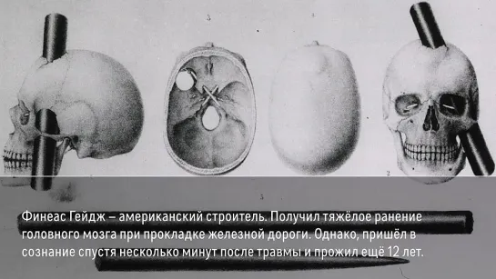 {А поговорить?} Мужской и женский мозг. Кто умнее, логичней, эмоциональней, агрессивней _ Наука. А поговорить..