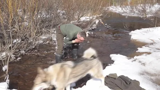 {Всё из за Метало Копа} ЖИВУ в ЛЕСУ в ИЗБЕ, ПОГОДА ПОРТИТСЯ, ВОКРУГ РУЧЬИ, БОЛОТА / СТРОЮ ИЗБУ, СВОИМИ РУКАМИ!