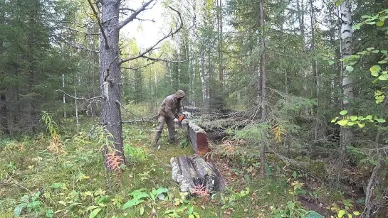 {Всё из за Метало Копа} НОВОЕ! НАХОДКА! ТРЕУГОЛЬНИК  'LL61' ЗИМНИК. ЗАПУСКАЮ БЕНЗОРЕЗ! ЗАГОТОВКА ТОНН МЕТАЛЛА В ТАЙГЕ.