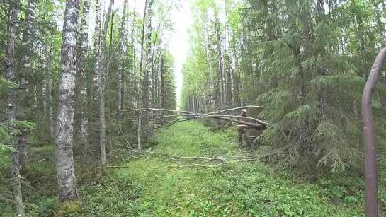 {Всё из за Метало Копа} ПОСЛЕДНЕЕ ВИДЕО. ДОБРАЛСЯ ДО ИЗБЫ, ПРИВЕЗ ЭЛЕКТРИКУ! ГОТОВЛЮ ЩУКУ. БОЛЕЗНЬ СКОСИЛА НА ПОВАЛ!