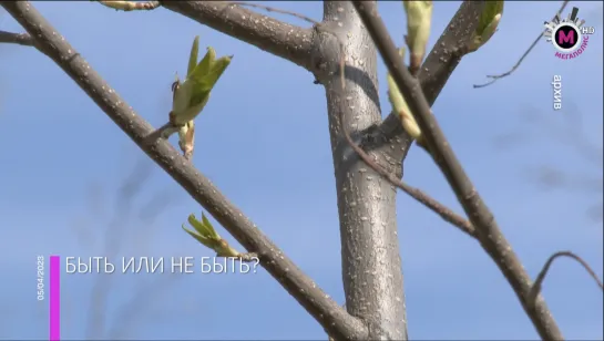 Мегаполис - Быть или не быть? - Россия