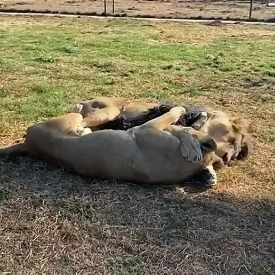 Видео от Типичный творческий