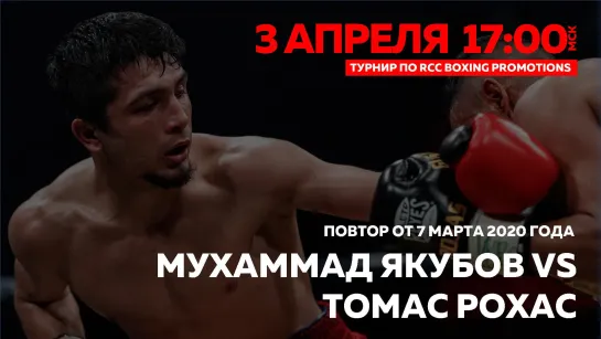 2020-03-07_Вечер звезд RCC Boxing Promotions | Якубов, Курбанов, Тищенко, Урванов, Чупраков