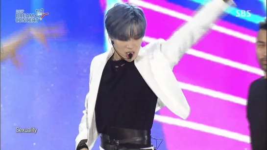 Dream Concert  2017 | TAEMIN - Sexuality