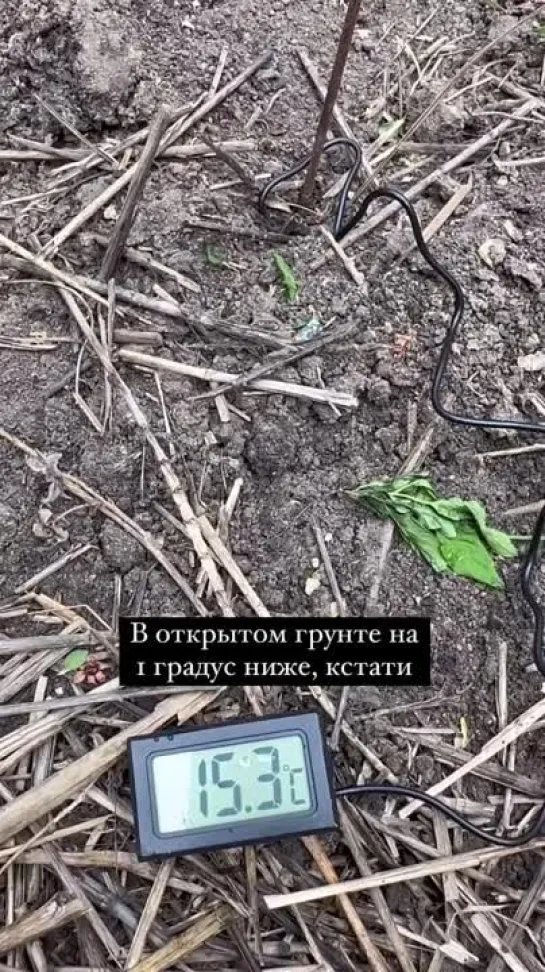 Видео от САДОВОДЫ И ОГОРОДНИКИ -_- СОВЕТЫ