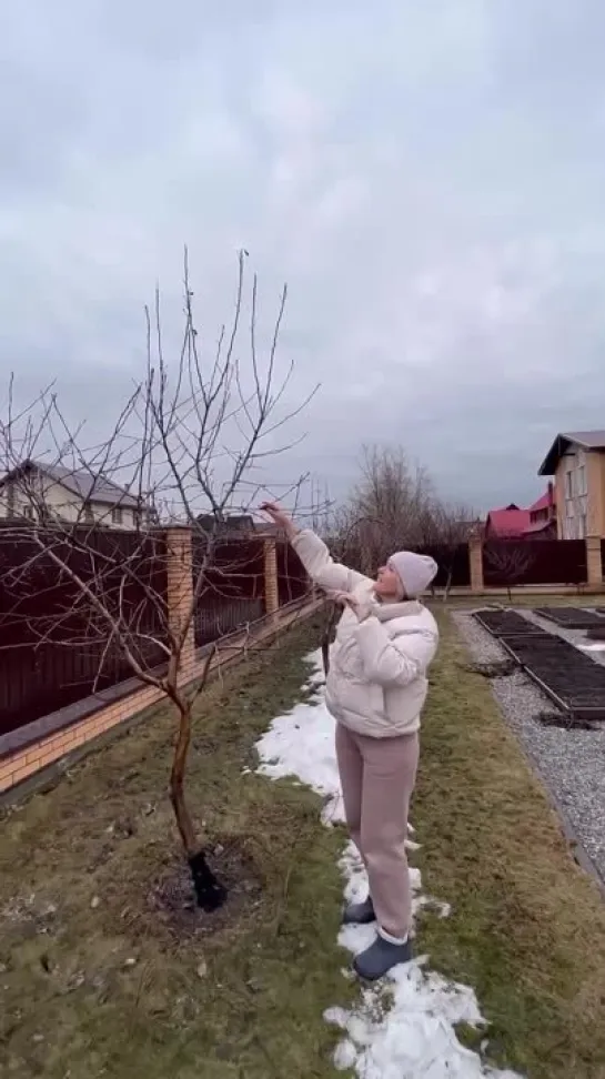 Видео от САДОВОДЫ И ОГОРОДНИКИ -_- СОВЕТЫ