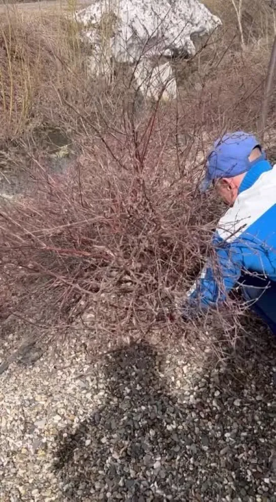 Видео от САДОВОДЫ И ОГОРОДНИКИ -_- СОВЕТЫ