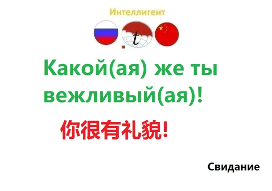 Какой(ая) же ты вежливый(ая)! Разговорник китайского языка. Китайский язык