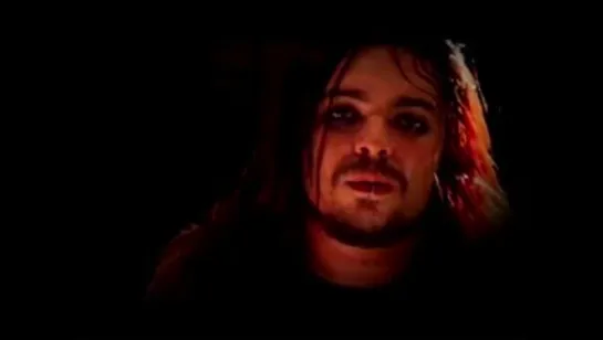 Seether - Fallen