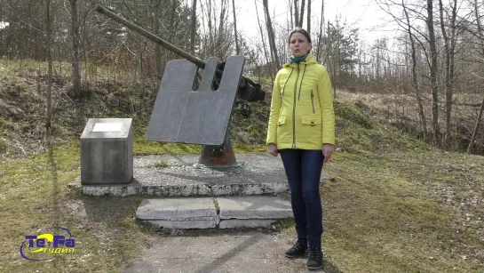 Сосновоборский городской музей - Оружие Победы