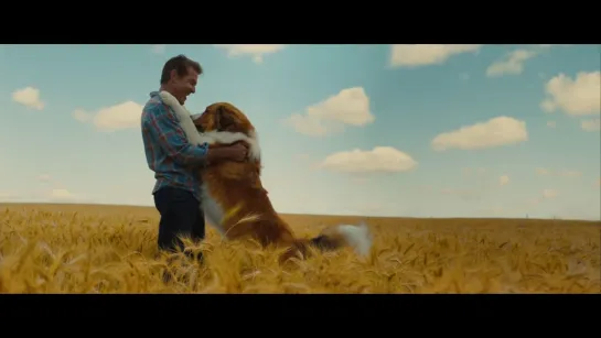 Русский трейлер к фильму «Собачья жизнь 2 / A Dog's Journey, 2019»